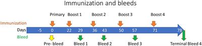 Hyperimmune Targeting Staphylococcal Toxins Effectively Protect Against USA 300 MRSA Infection in Mouse Bacteremia and Pneumonia Models